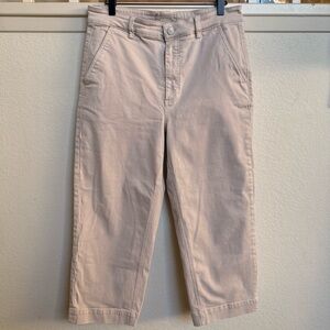 Everlane Cropped Straight Short Beige Pants